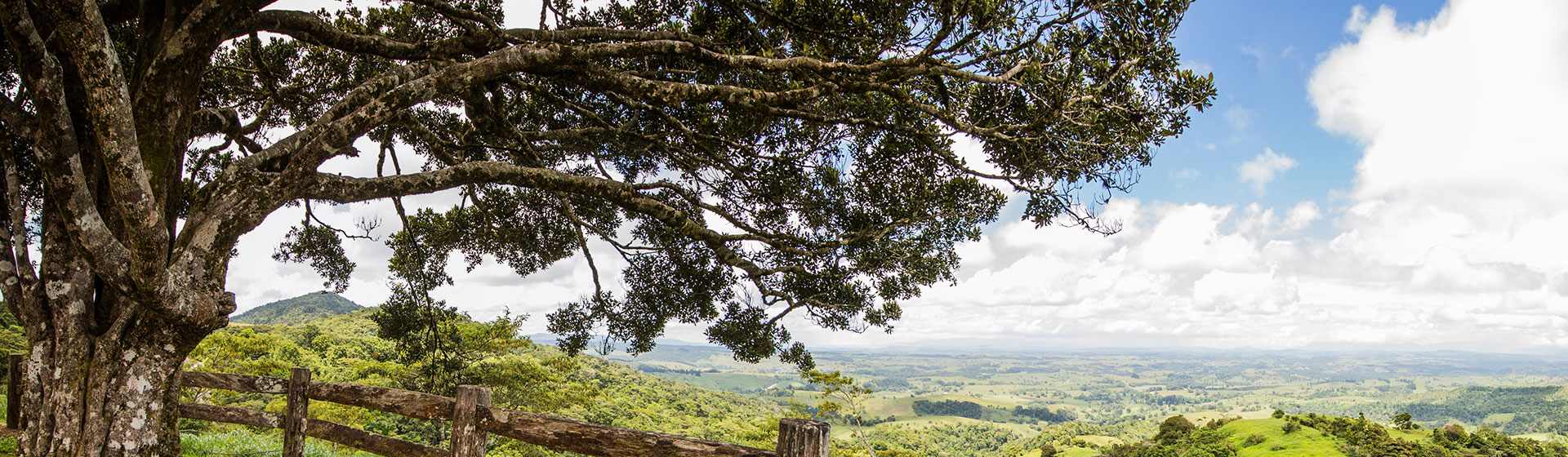 Journey to the Atherton Tablelands