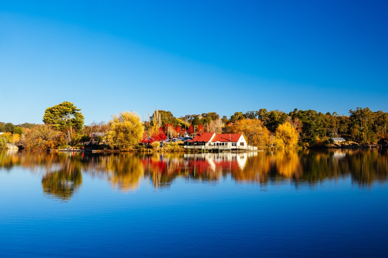 5 Family-Friendly Gems in Victoria