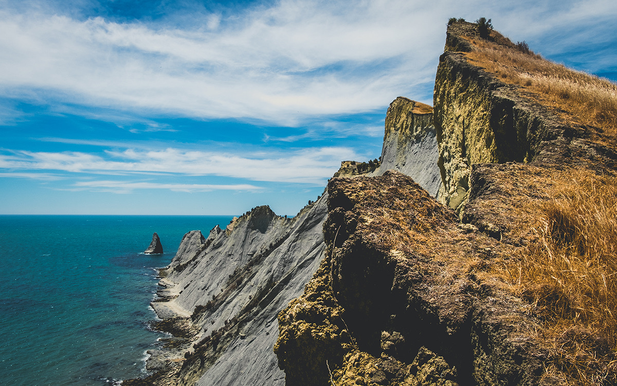 Seaside Wonders and Kiwi Spotting: A Drive to Cape Kidnappers