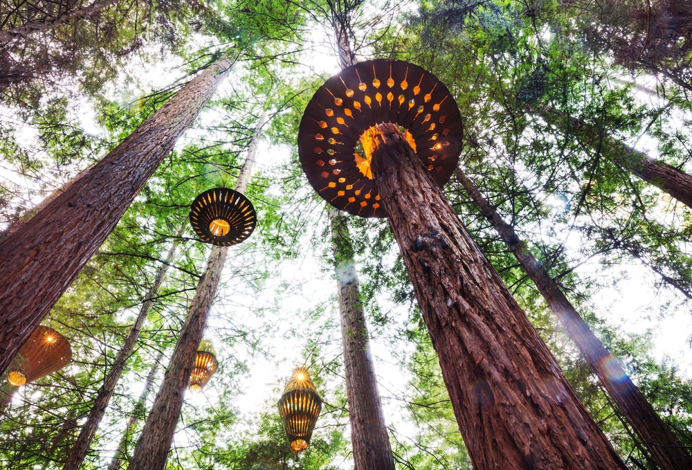 How To Spend 48 Hours in Rotorua