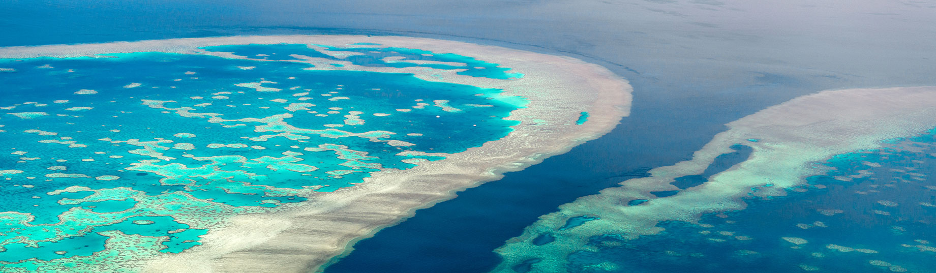 Guide To the Great Barrier Reef