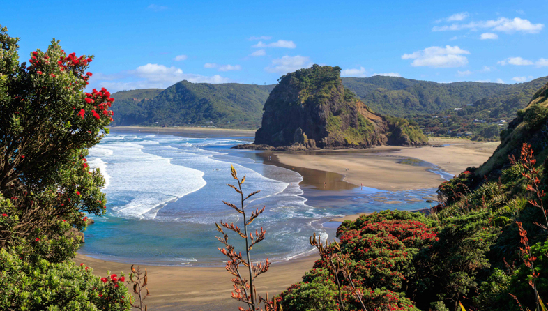 Piha_shutterstock_1277306587_786x446.jpeg