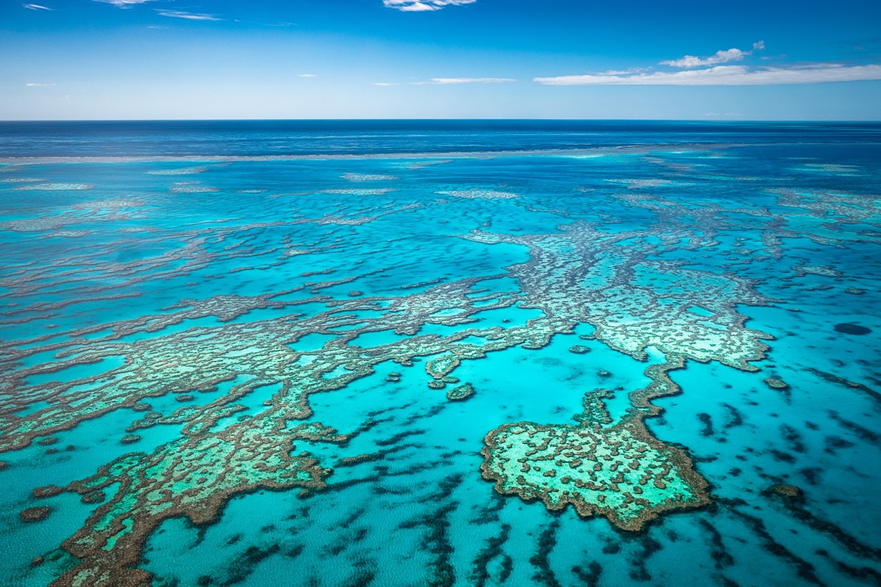 final_great barrier reef.jpeg