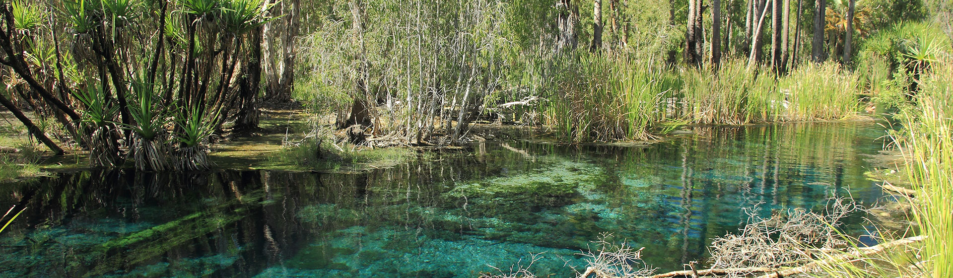 Best Swimming spots in the Northern Territory