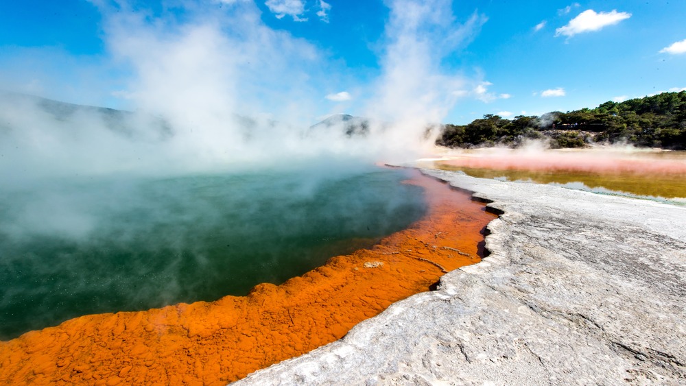COMPRESSED_Rotorua_shutterstock_531037615-min_1_1000x563.jpg