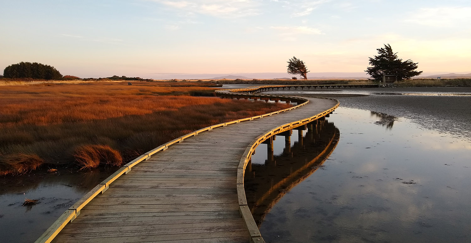Invercargill Estuary Walkway (hero) final.jpg
