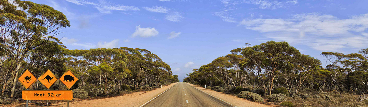 Explore the Nullarbor