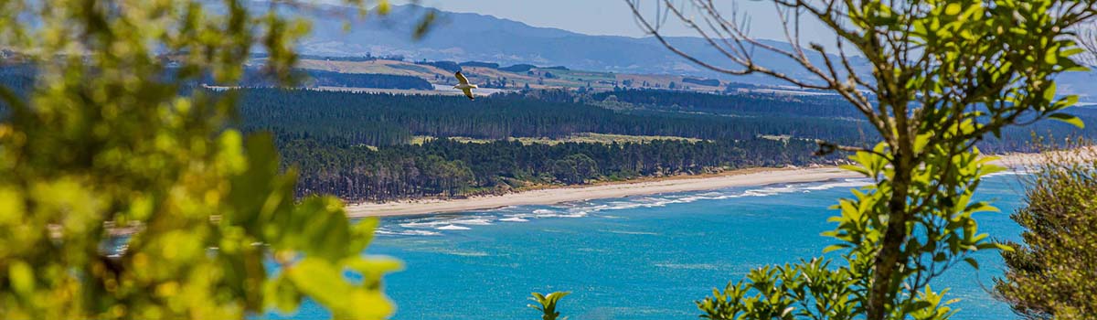 Must-See Hotspots In Greater Auckland