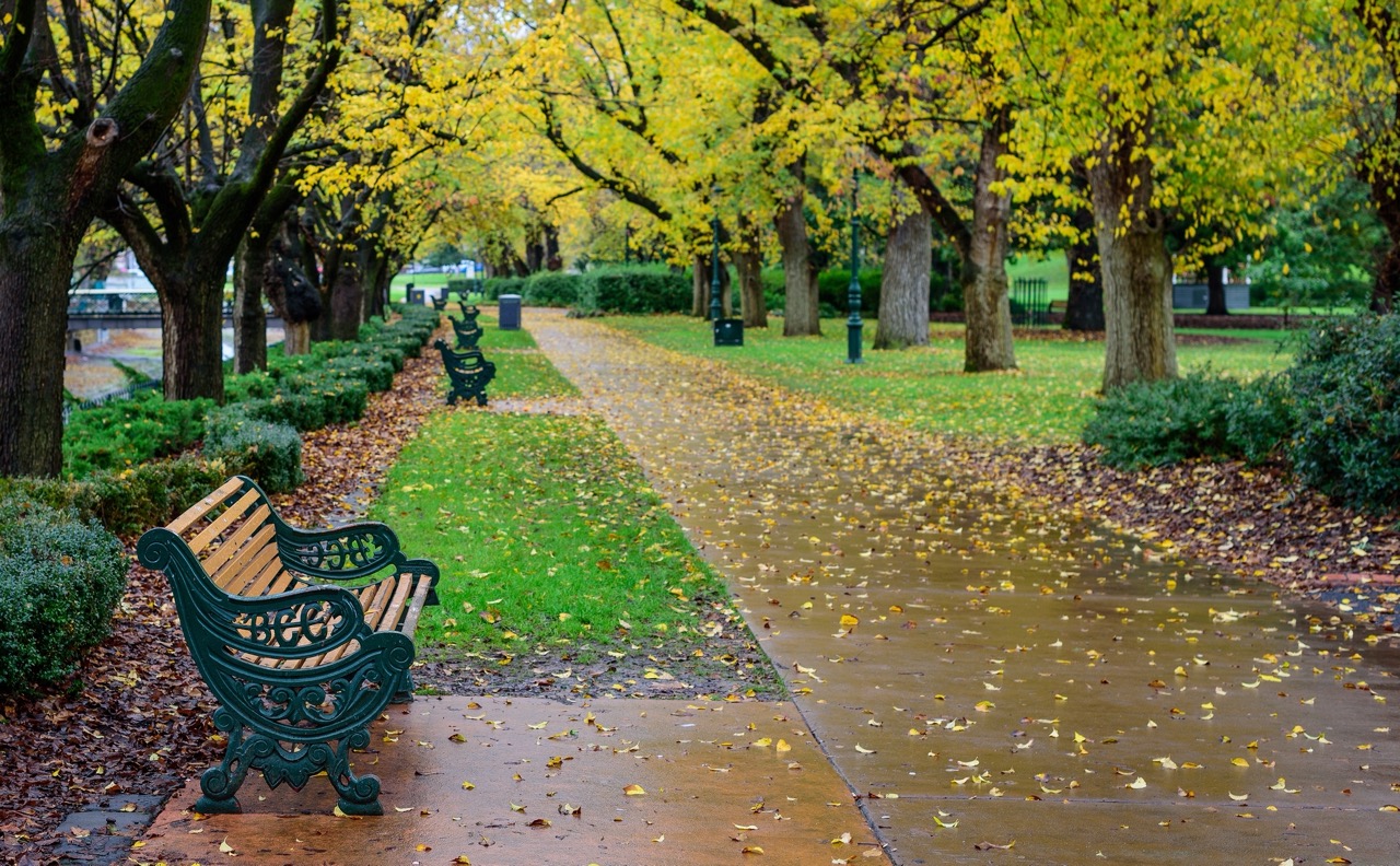 Bendigo_Large.jpeg
