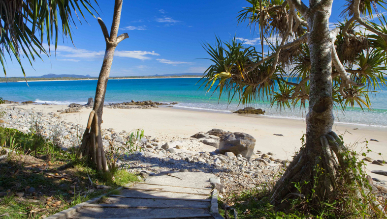 Sunshine Coast to Noosa_shutterstock_504703495_786x446.jpeg