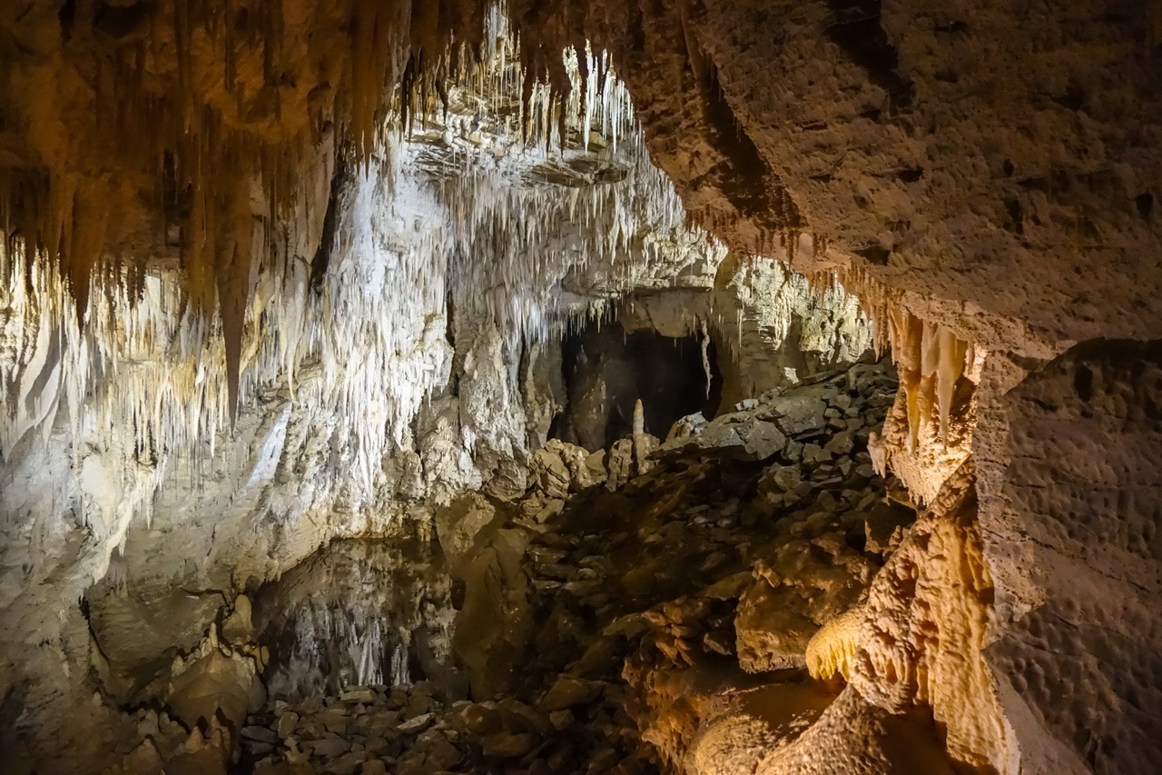 final_waitomo_caves.jpeg