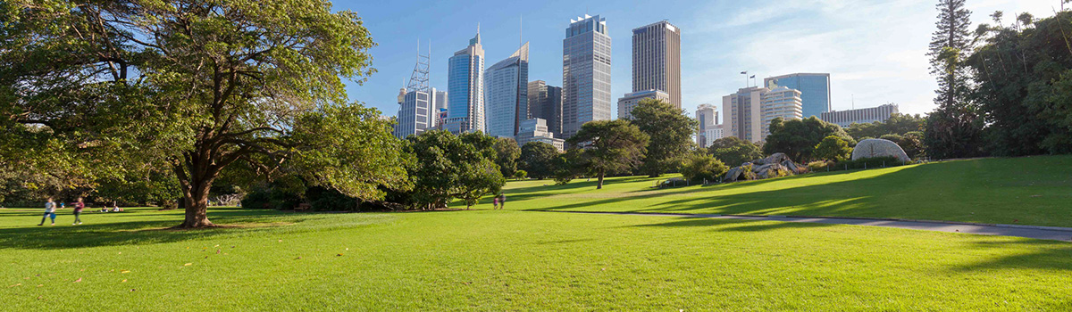 Top Five Picnic Spots In and Around Sydney