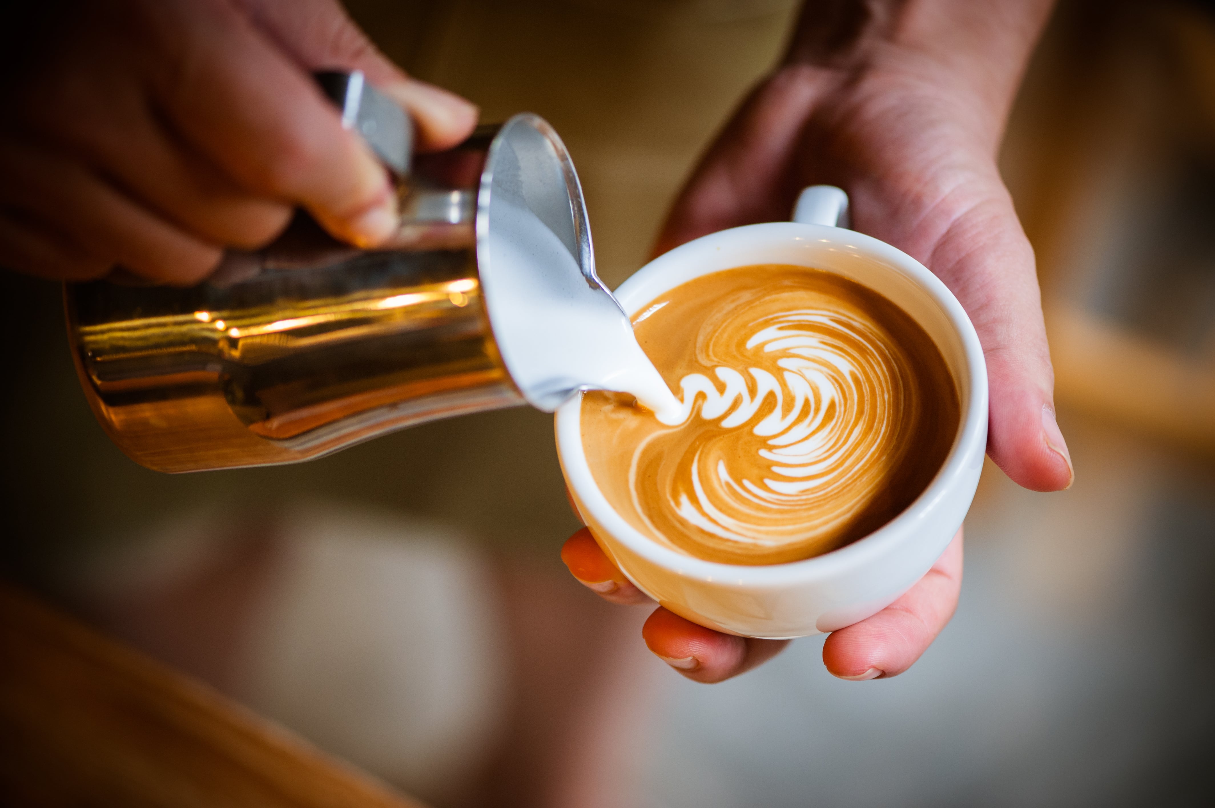 The Best Coffee Stops in Christchurch