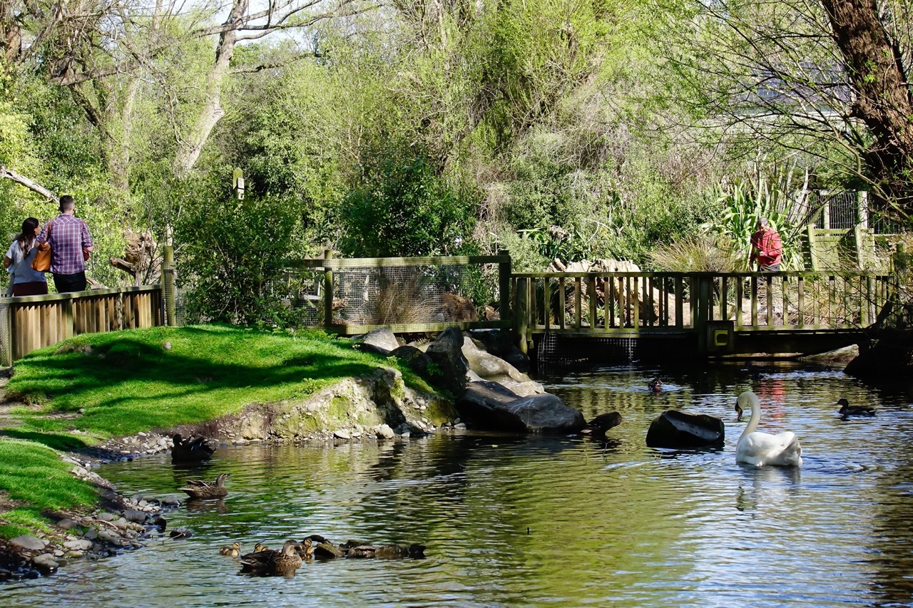 final_willowbank reserve.jpeg