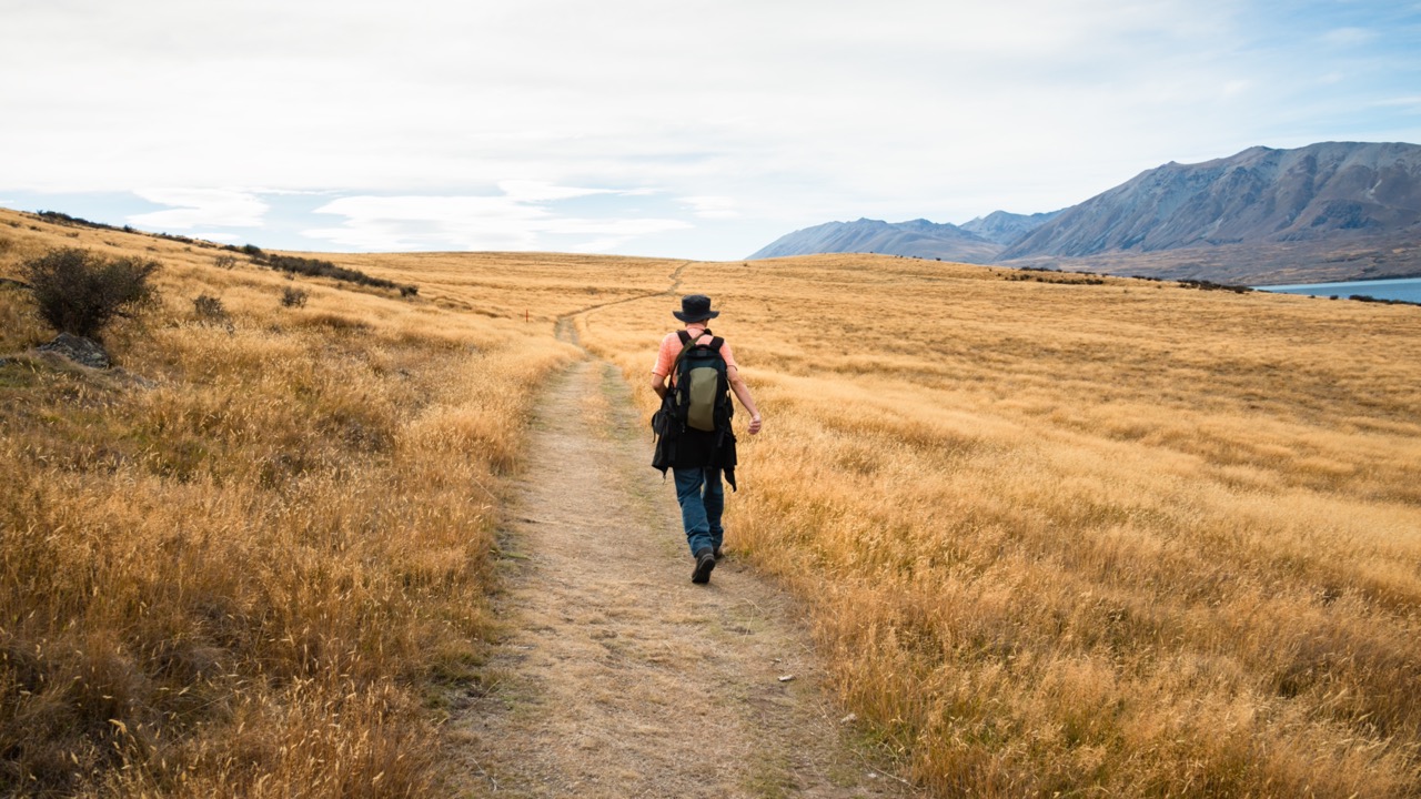 final_Tekapo Peninsula Walkway.jpeg
