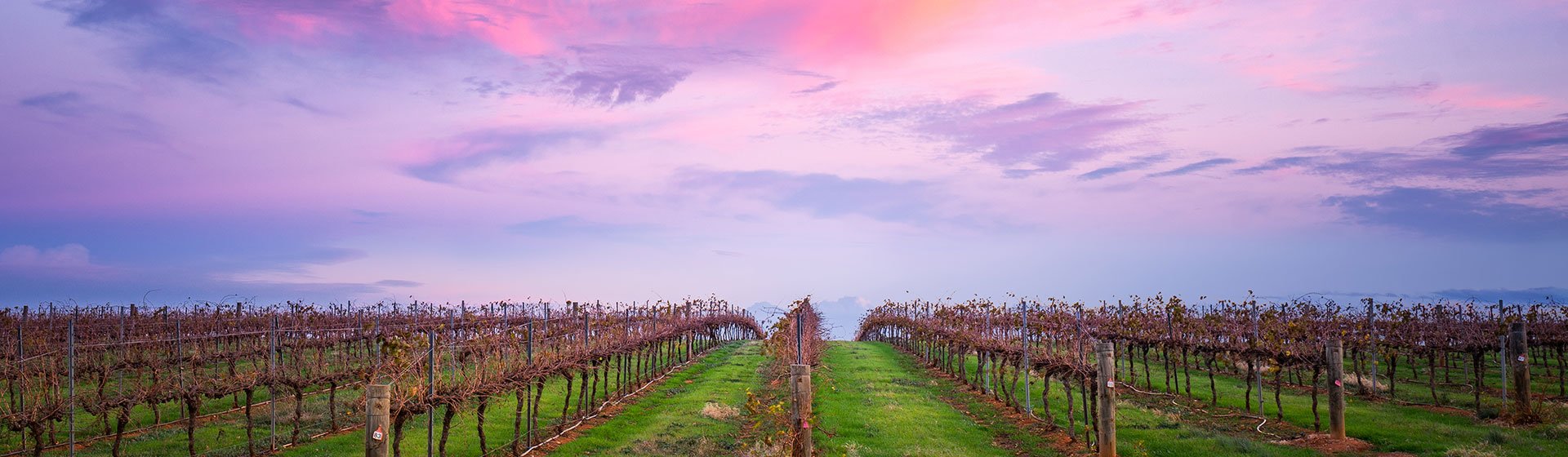 Fun for All Ages in Adelaide