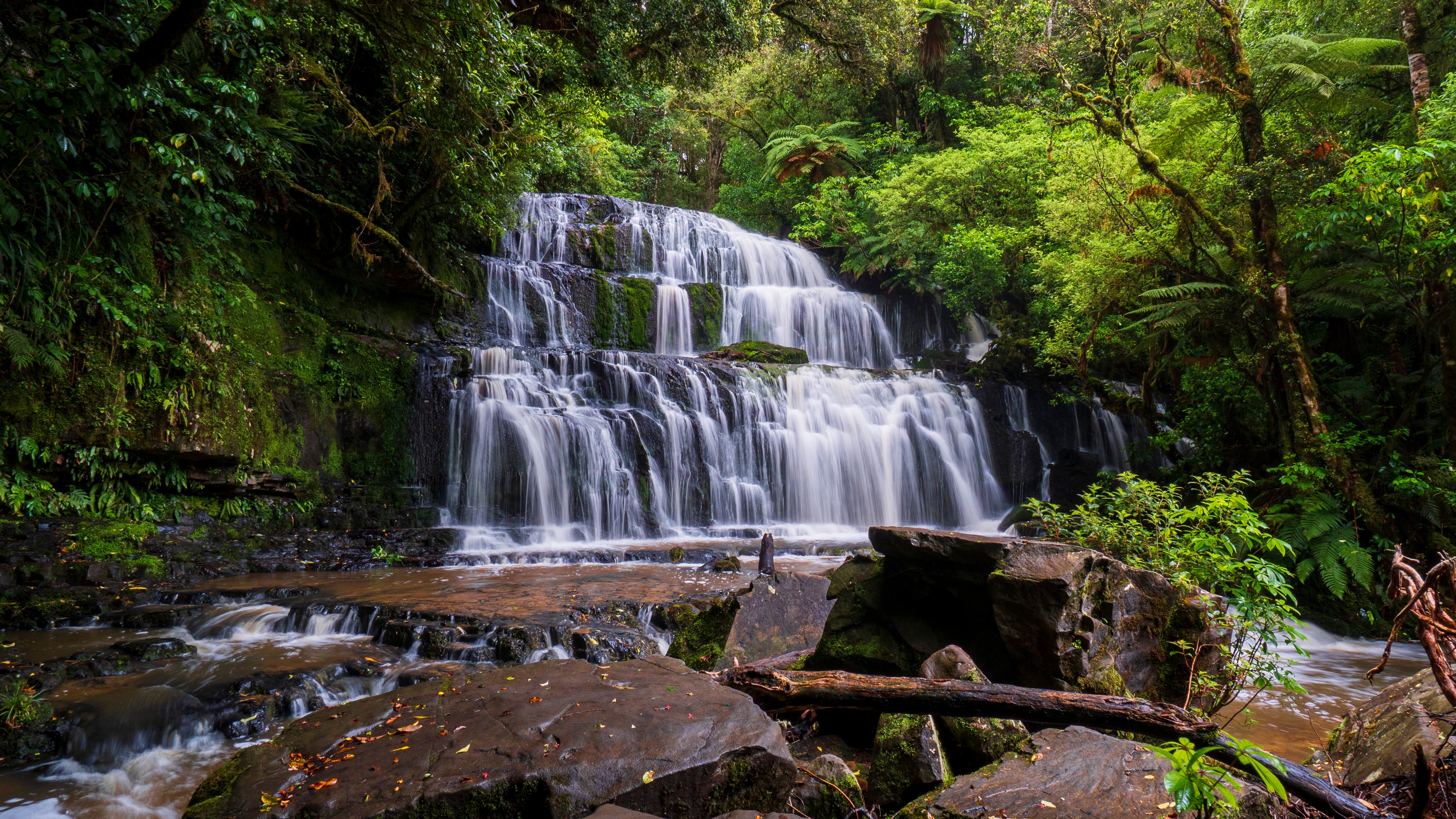 Purakaunui_Falls_surrounded_by_rainforest.jpg