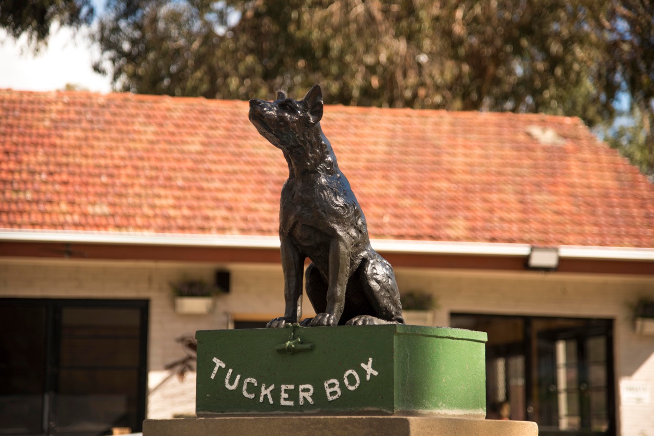 Dog_on_the_Tuckerbox_sculpture_Large.jpeg