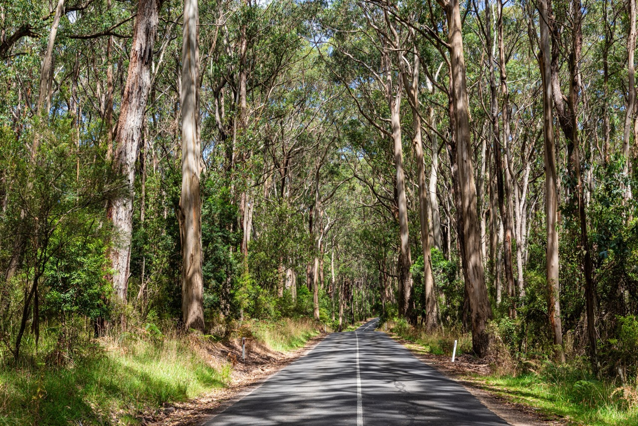 The Great Ocean Road Beyond the Crowds: Hidden Thrills & Deals