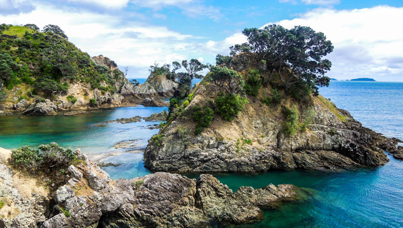 Hauraki Gulf_shutterstock_590293445_786x446.jpeg