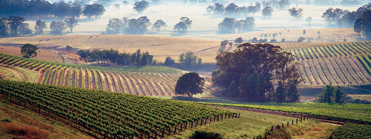 Guide to the Hunter Valley Region