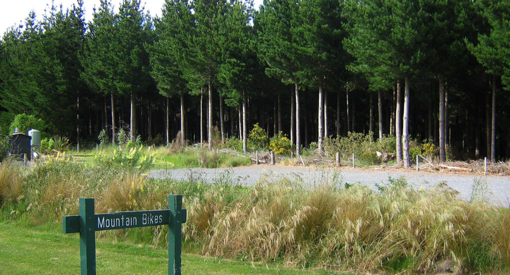 Sandy Point Domain final.jpg