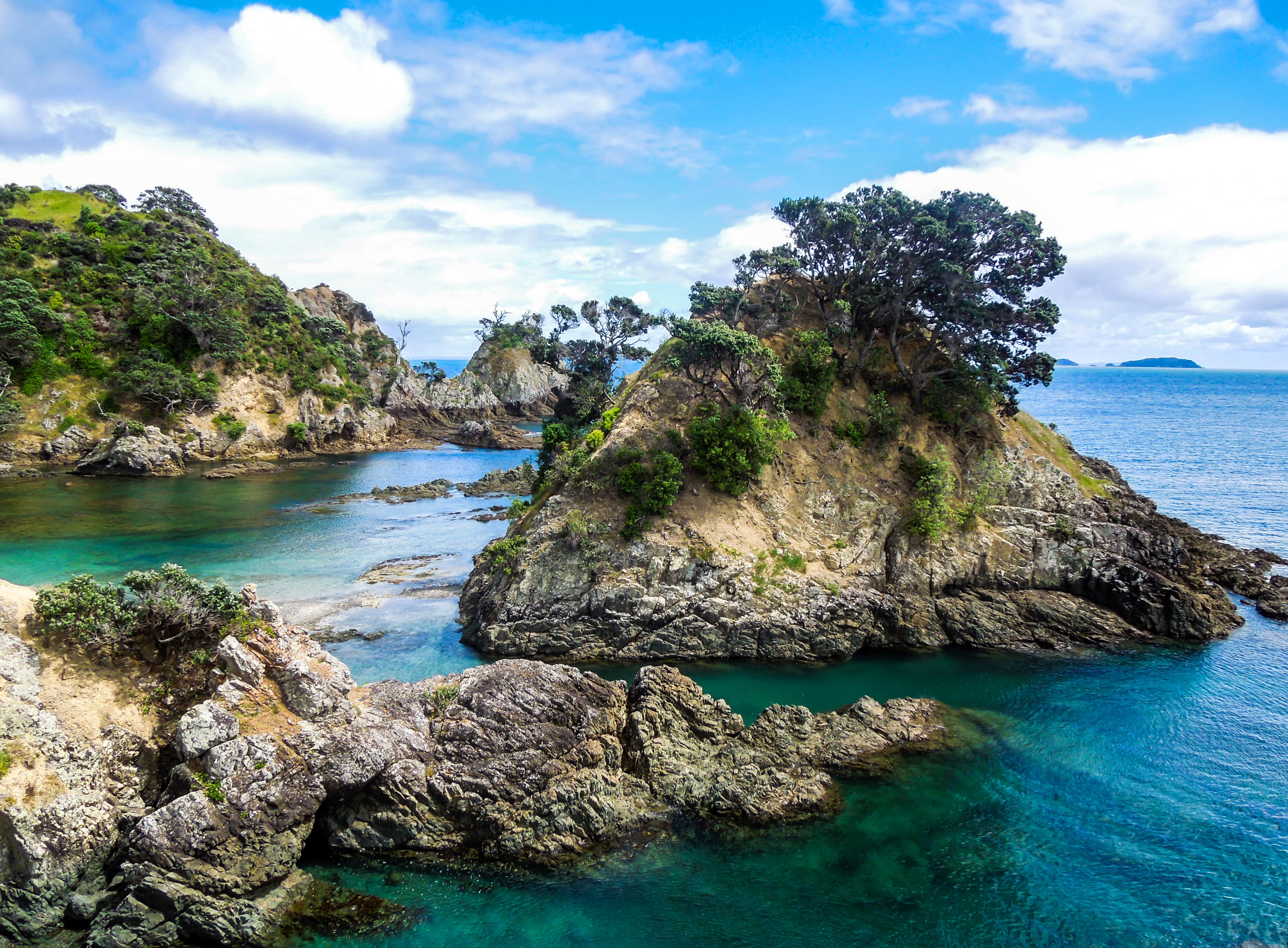 COMPRESSEDHauraki_Gulf_shutterstock_590293445-min.jpg