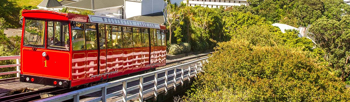 How to Spend 48 Hours in Wellington