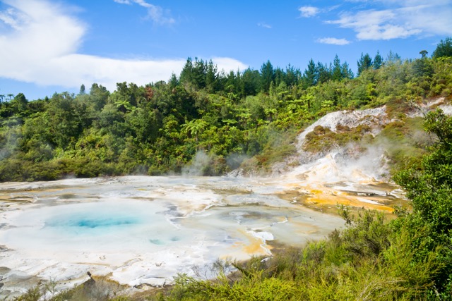 North Island Road Trip: Unmissable Stops for Budget Travelers