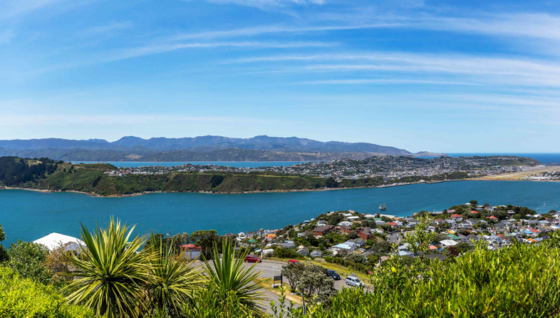 Walk up Mt Victoria_shutterstock_1967926006_786x446.jpeg