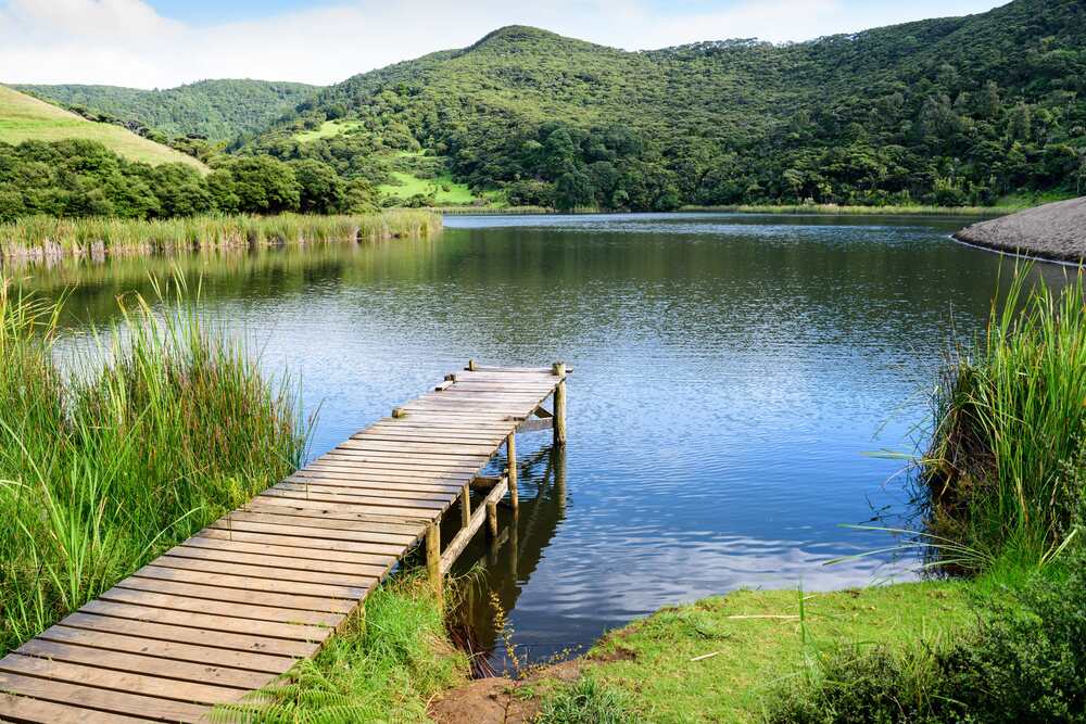 SEO_Thrifty_March_416601601_Wooden_Jetty_Lake_Wainamu_1-min_1000x667.jpg