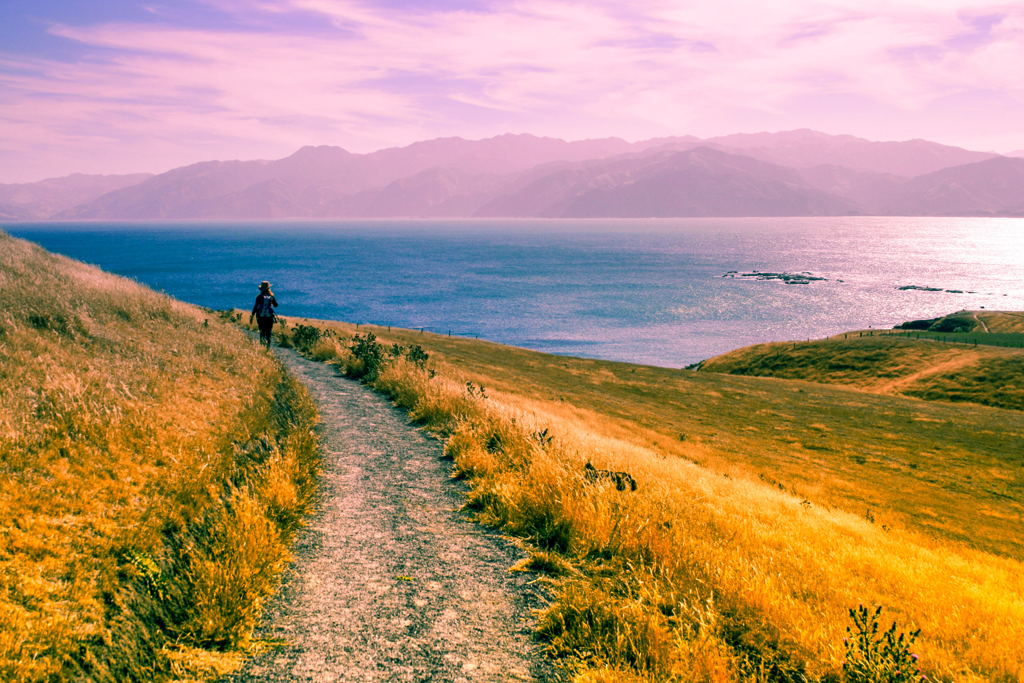 Family_walking_the_Kaikōura_Peninsula_Walkway.jpg