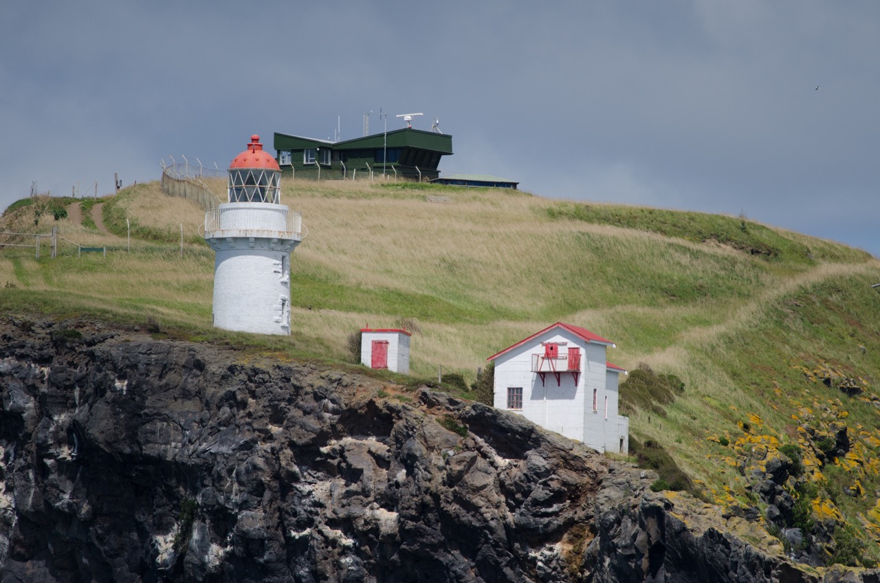 final_royal albatross centre.jpeg