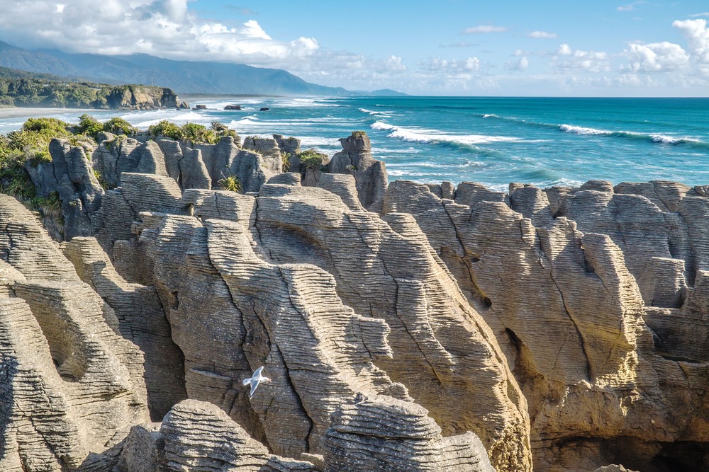 SEO_West_Coast_shutterstock_552322174-min_1000x667.jpeg