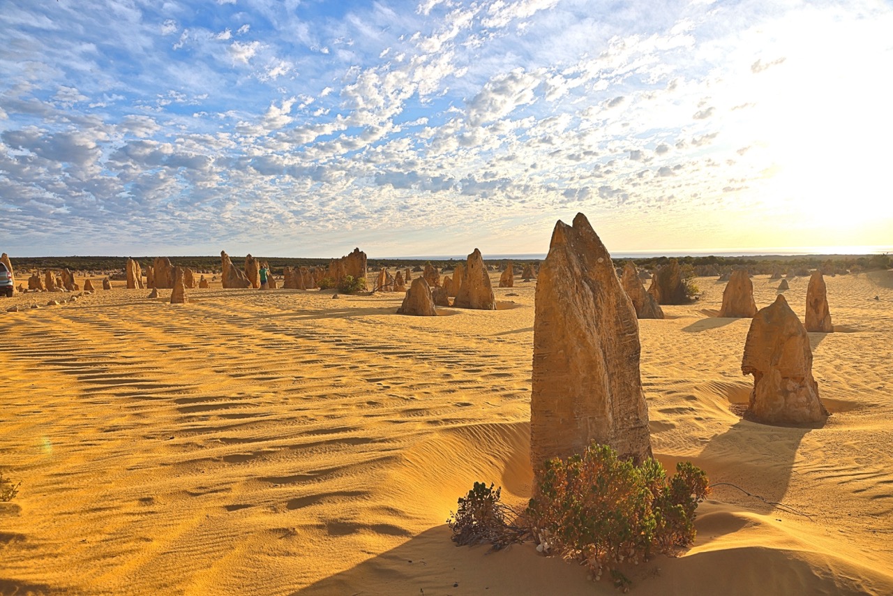 Pinnacles Desert Large.jpeg