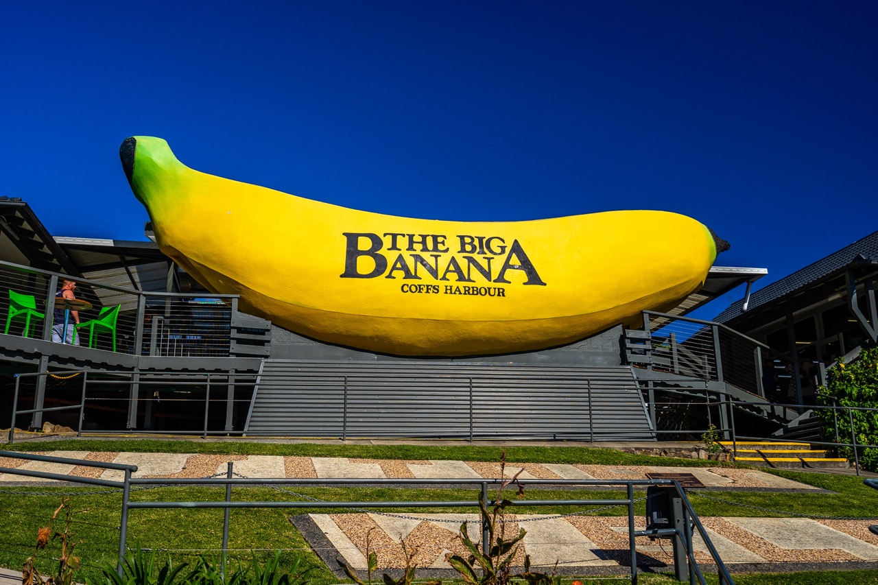 final_big_banana.jpeg