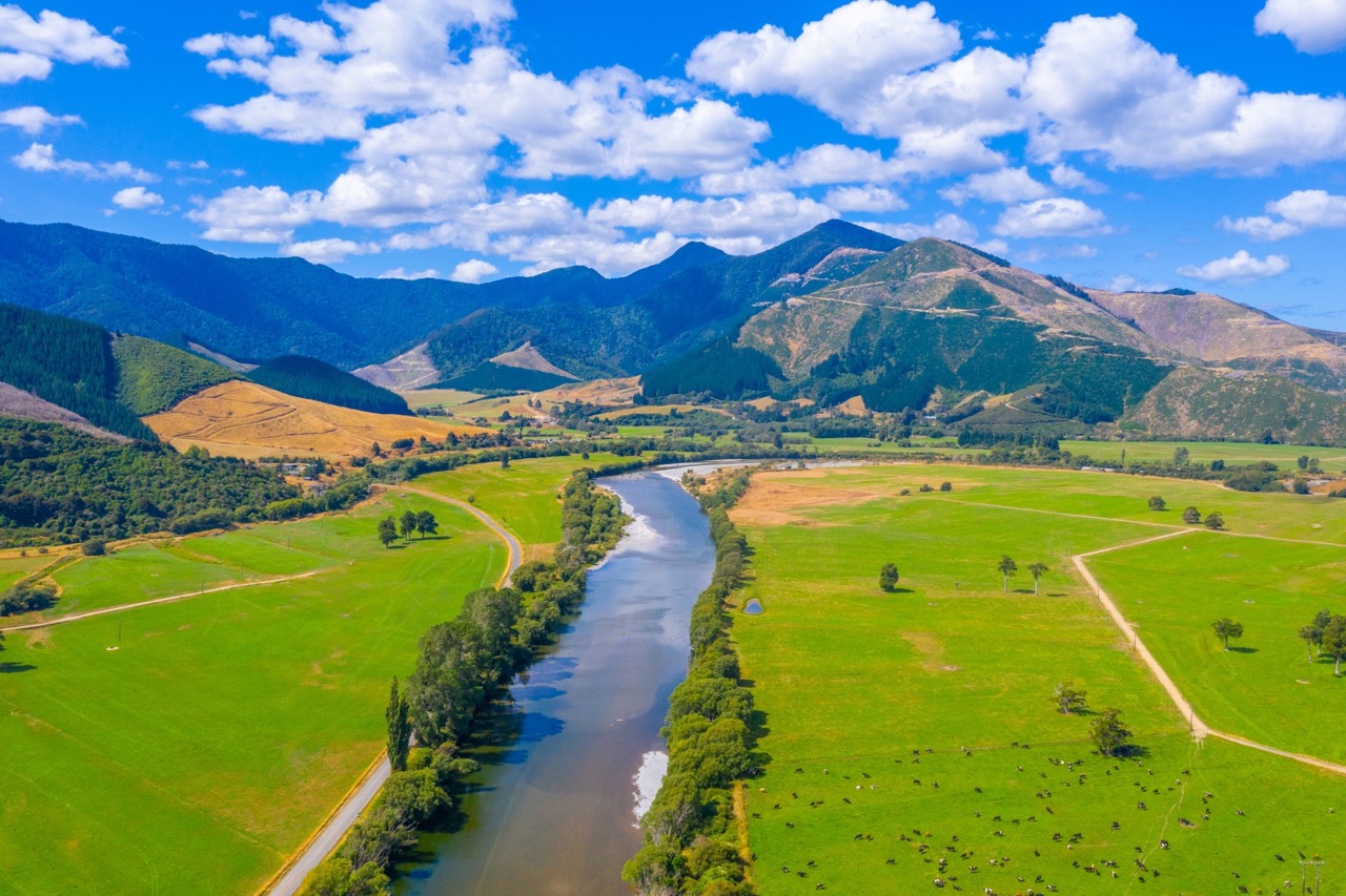 Pelorus_River_final.jpeg