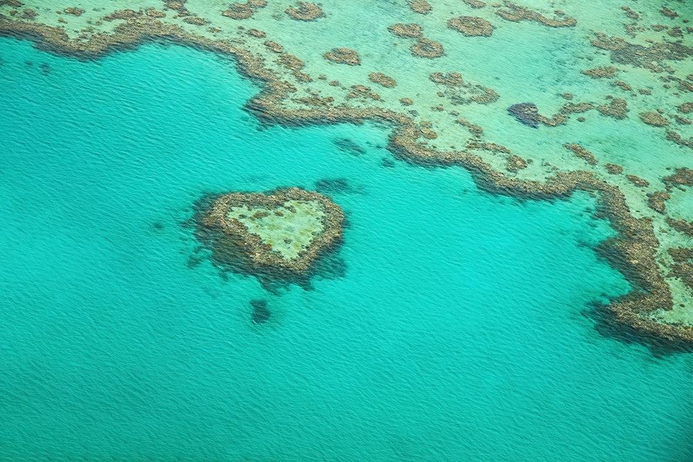 Explore the Great Barrier Reef from Airlie Beach