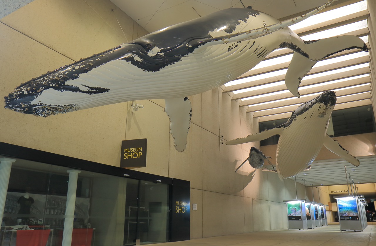 final_QLD museum.jpeg