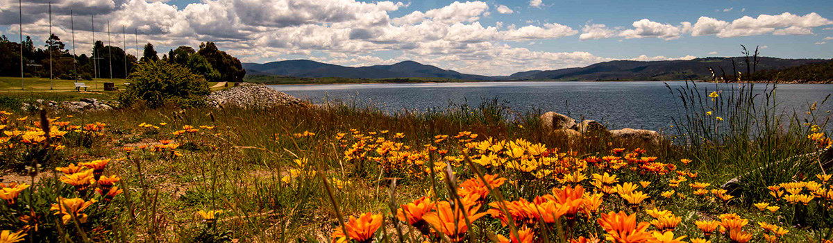 COMPRESSED_Drive_to_Jindabyne_shutterstock_1855440040_1920x560.jpeg