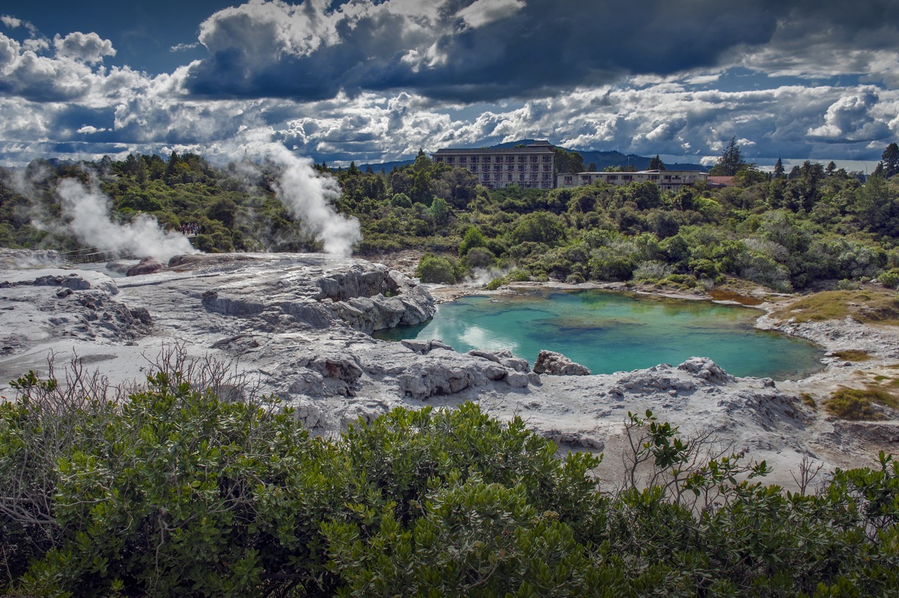 final_whakarewarewa forest geysers.jpeg