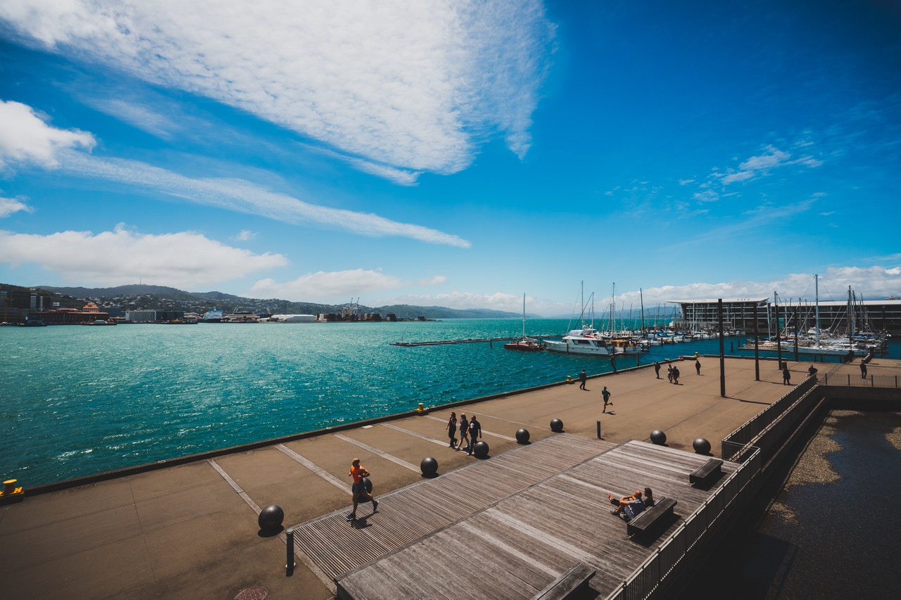 Te_Papa_Museum_exterior_by_the_waterfront_Large.jpeg