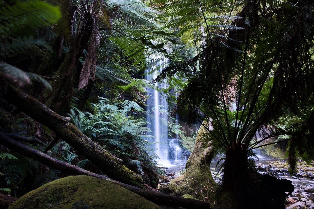 Waterfall_scene_at_Russell_Falls_in_Mount_Field_National_Park_Large.jpeg