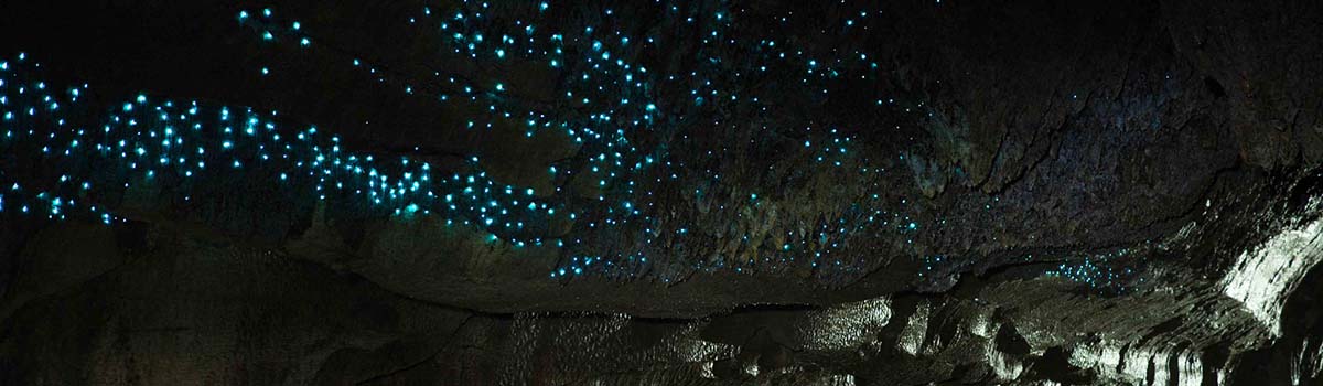 Top Thrill-Seeker Activities in New Zealand