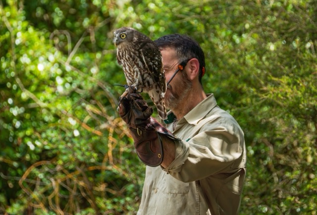 guyholdingowl-final-final.jpeg