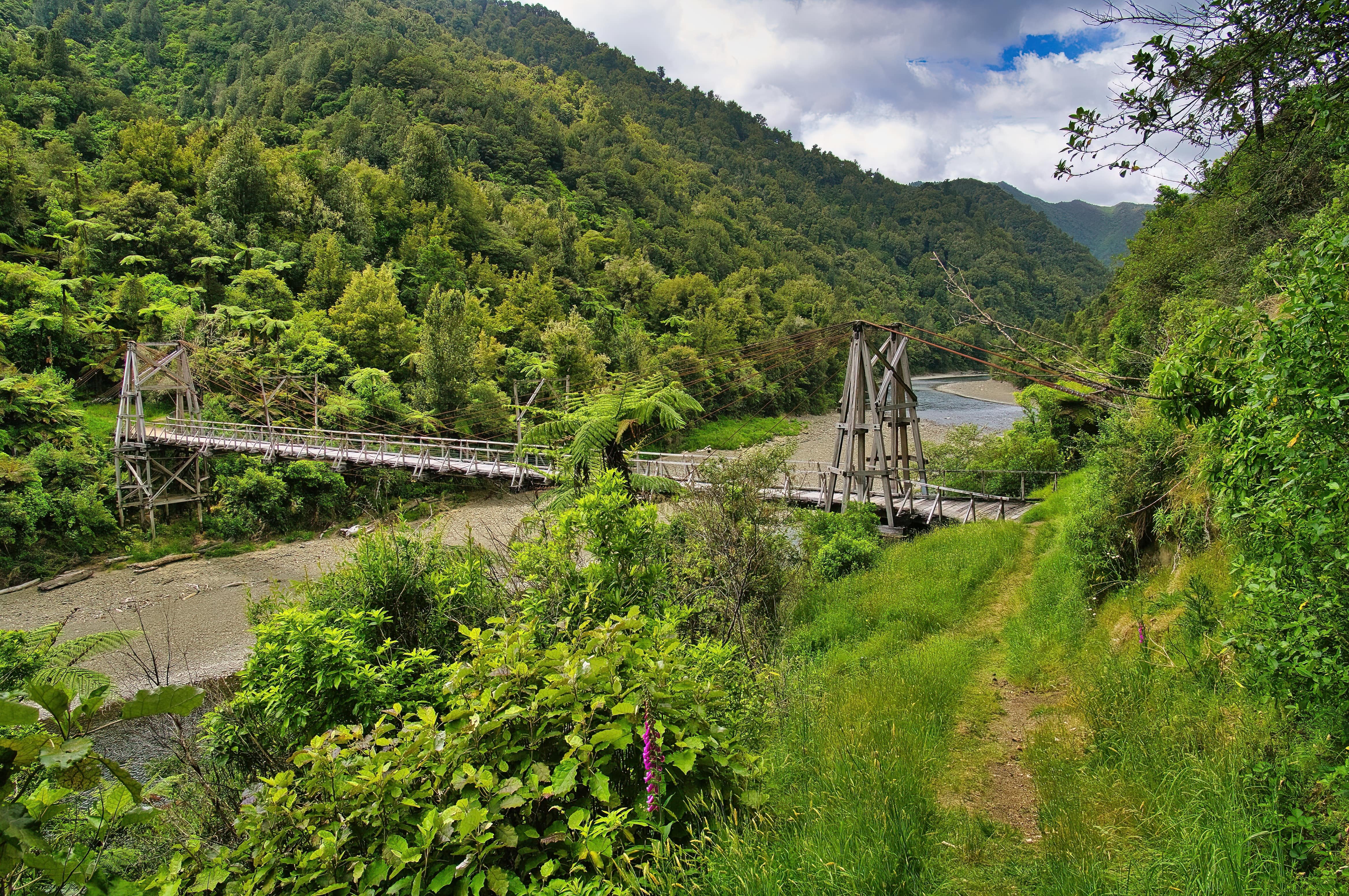 shutterstock_2166707915-min.jpg