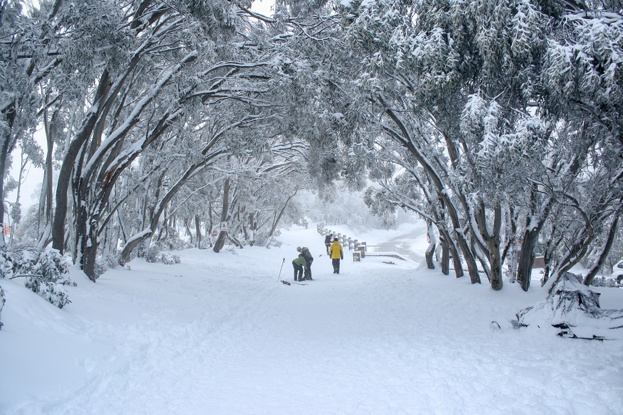 Five of Australia’s Best Snow Spots