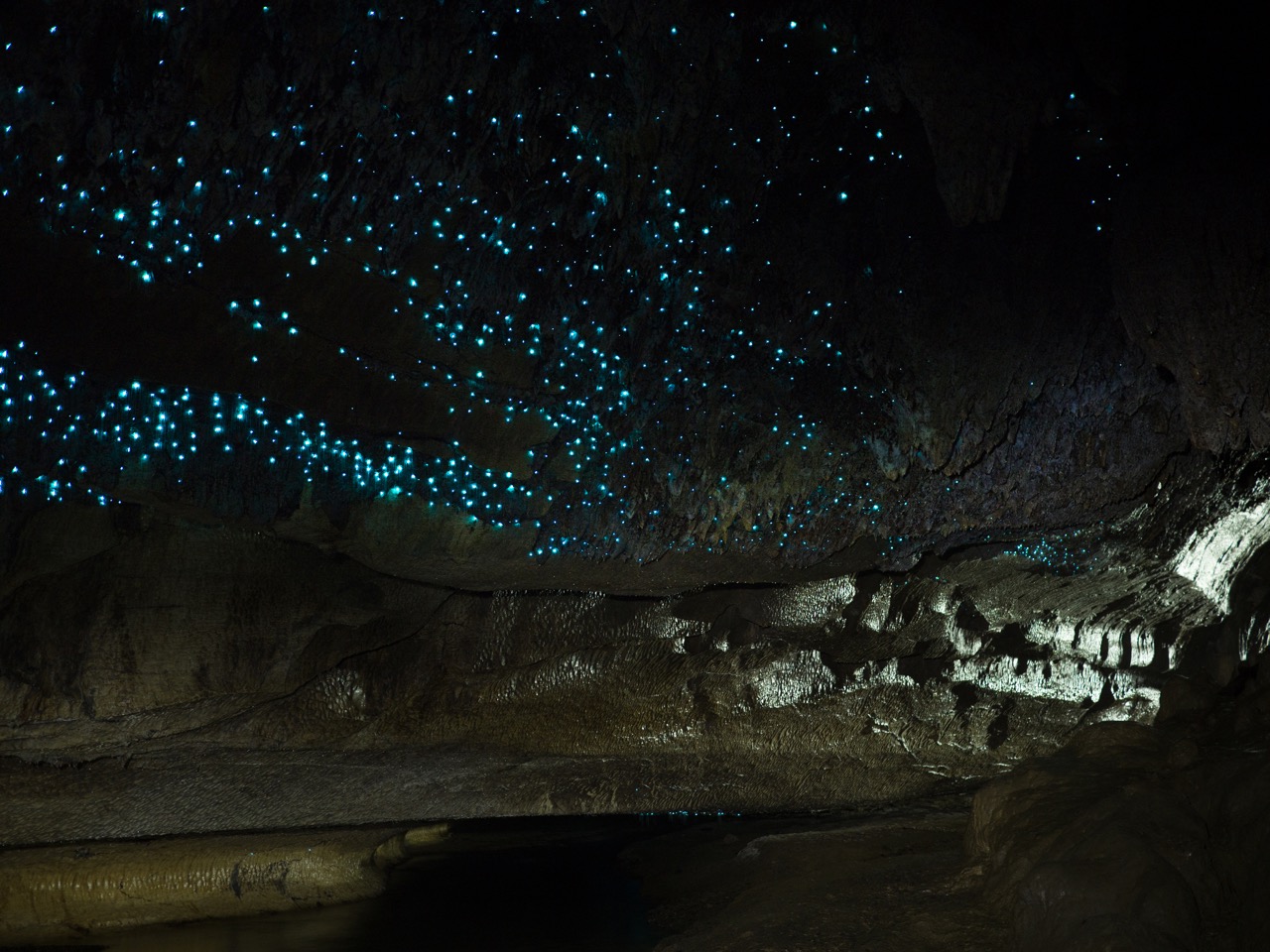 Final_Waitomo_Glowworm_Caves.jpeg