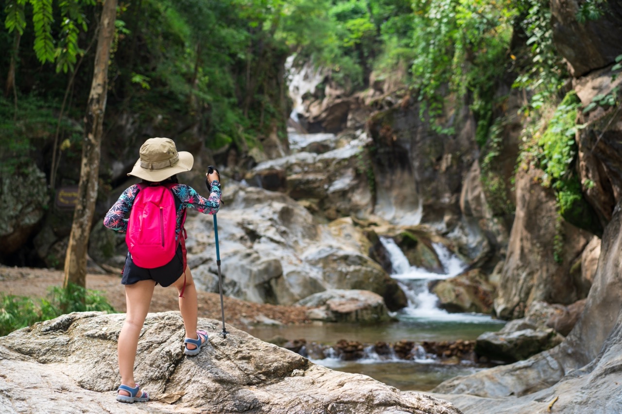 Child_pointing_out_a_waterfall_along_a_hiking_track_Large.jpeg