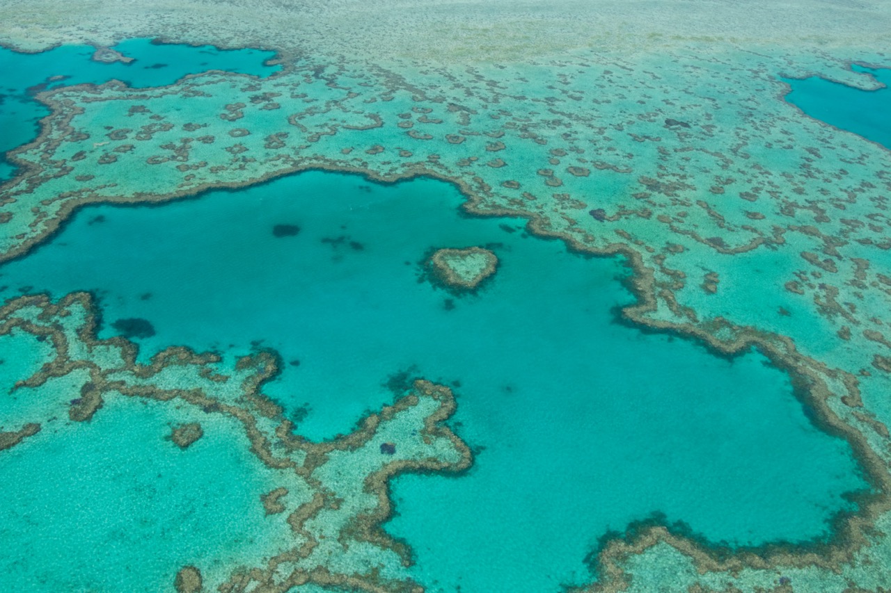 final_great barrier reef.jpeg